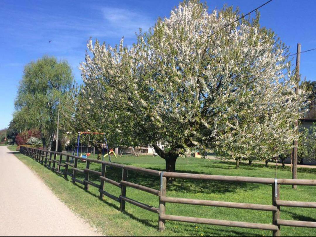 Azienda Agrituristica Scotti Сома Ломбардо Екстериор снимка