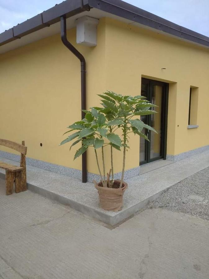 Azienda Agrituristica Scotti Сома Ломбардо Екстериор снимка